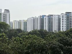 Blk 299A Compassvale Green (Sengkang), HDB 4 Rooms #604417721